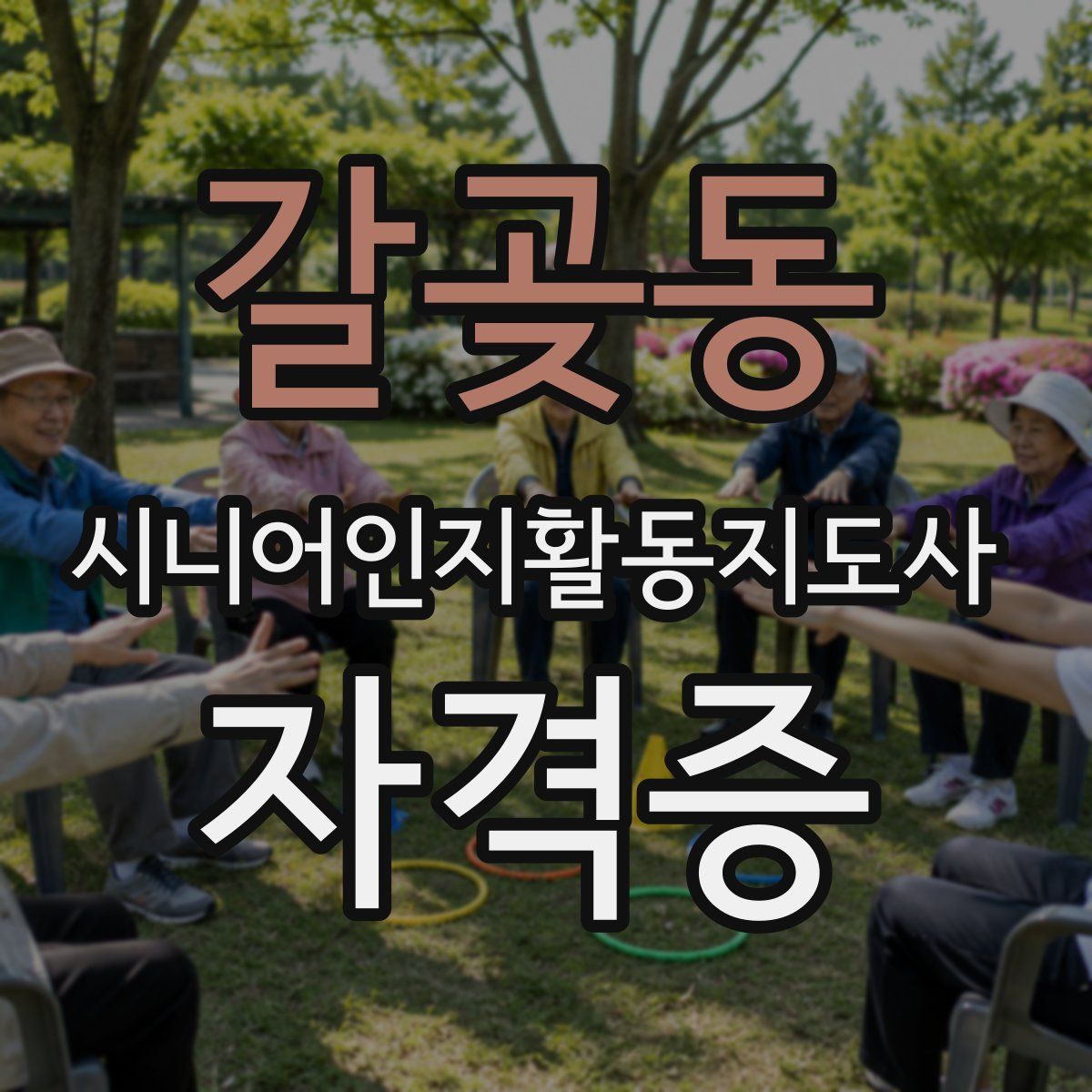 갈곶동 시니어인지활동지도사 자격증