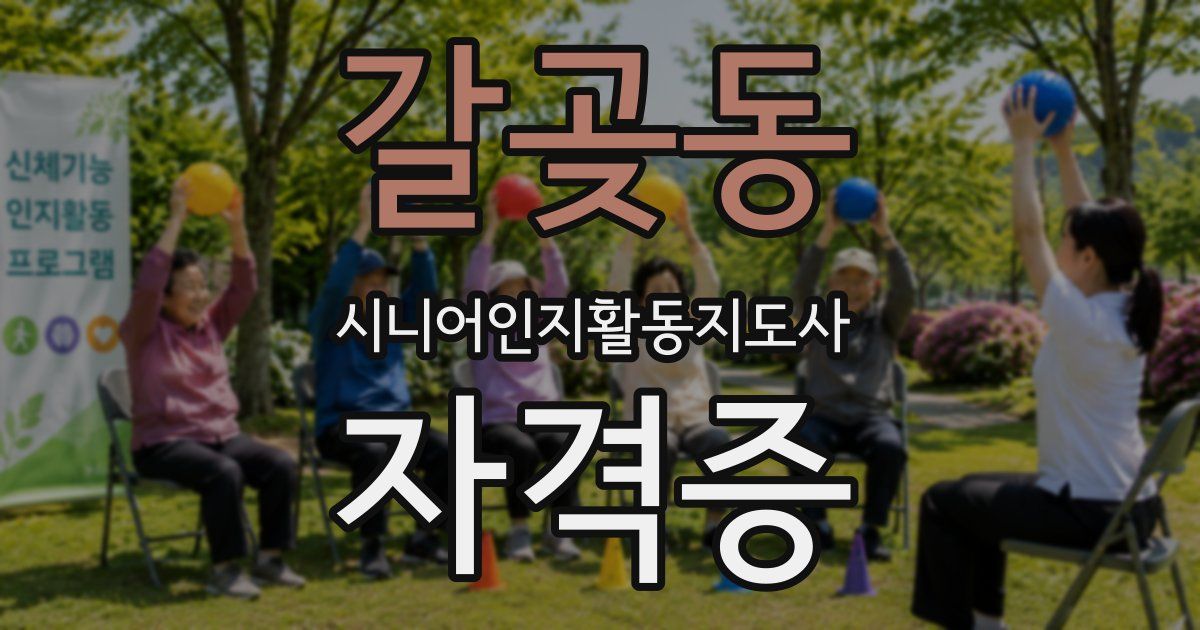 갈곶동 시니어인지활동지도사 자격증
