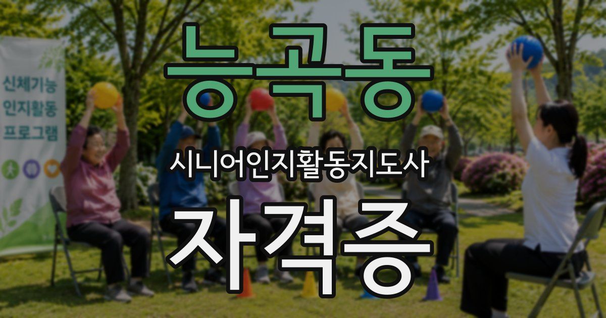 능곡동 시니어인지활동지도사 자격증