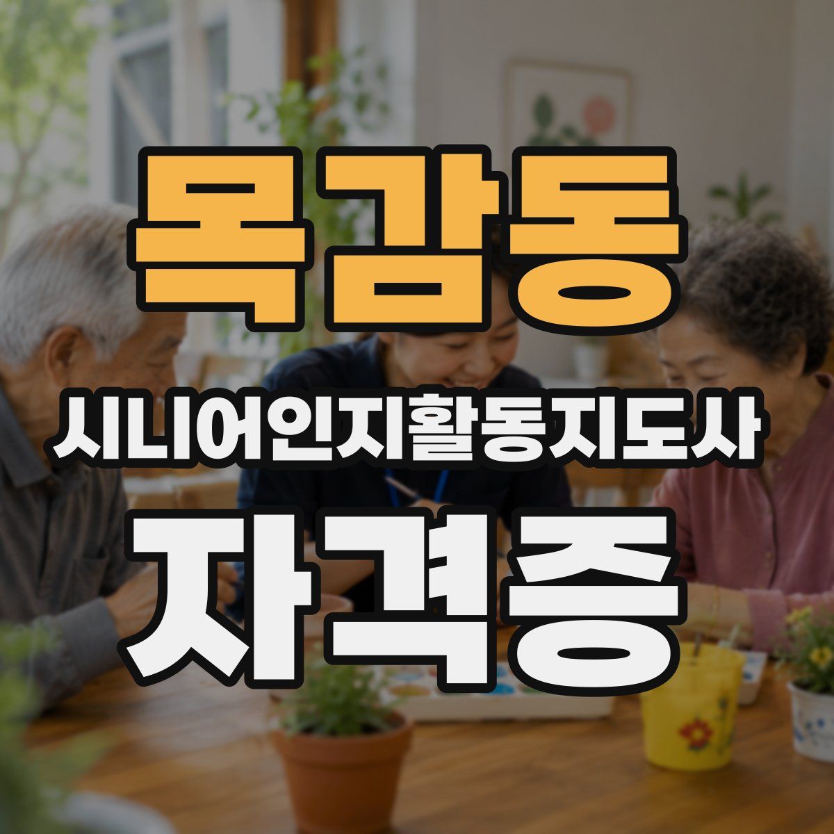 목감동 시니어인지활동지도사 자격증