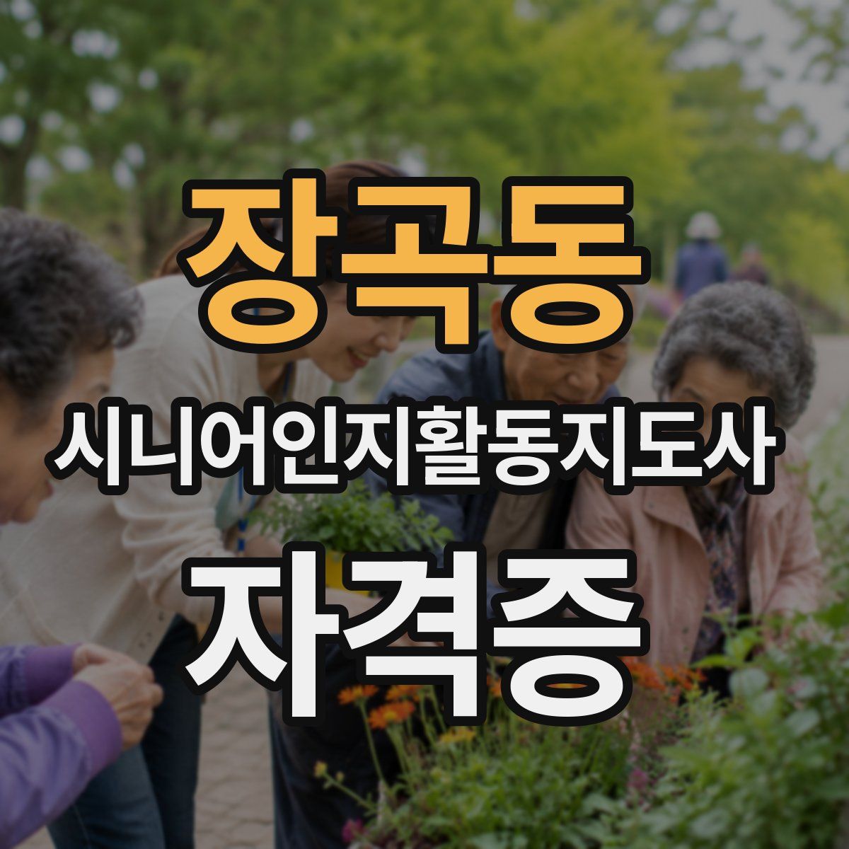 장곡동 시니어인지활동지도사 자격증