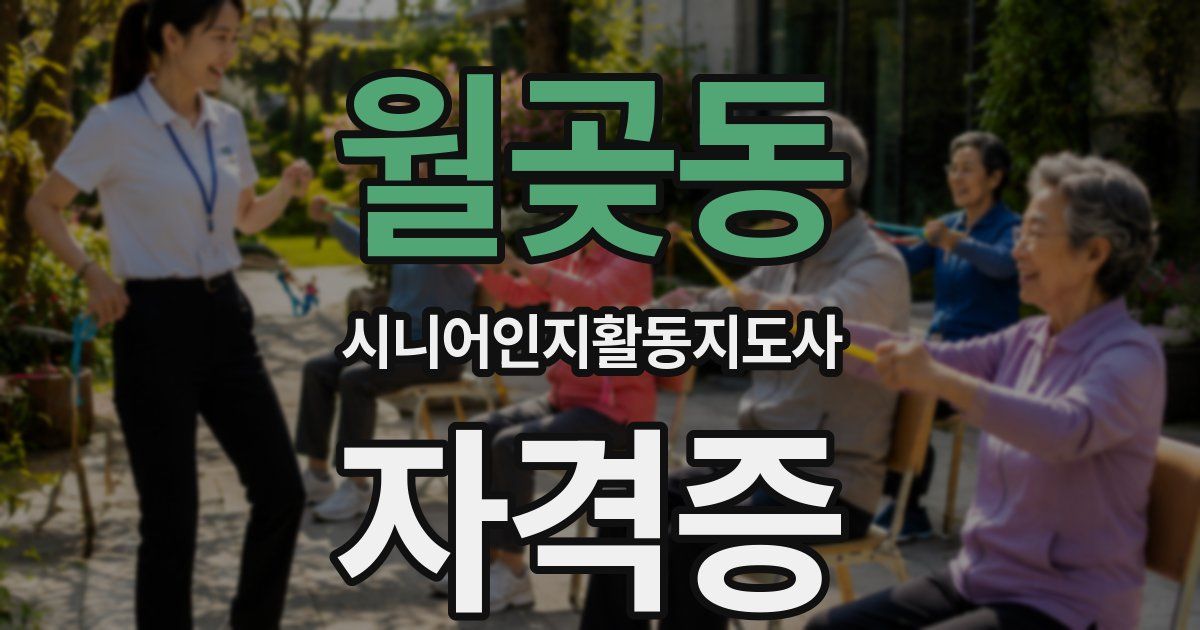월곶동 시니어인지활동지도사 자격증