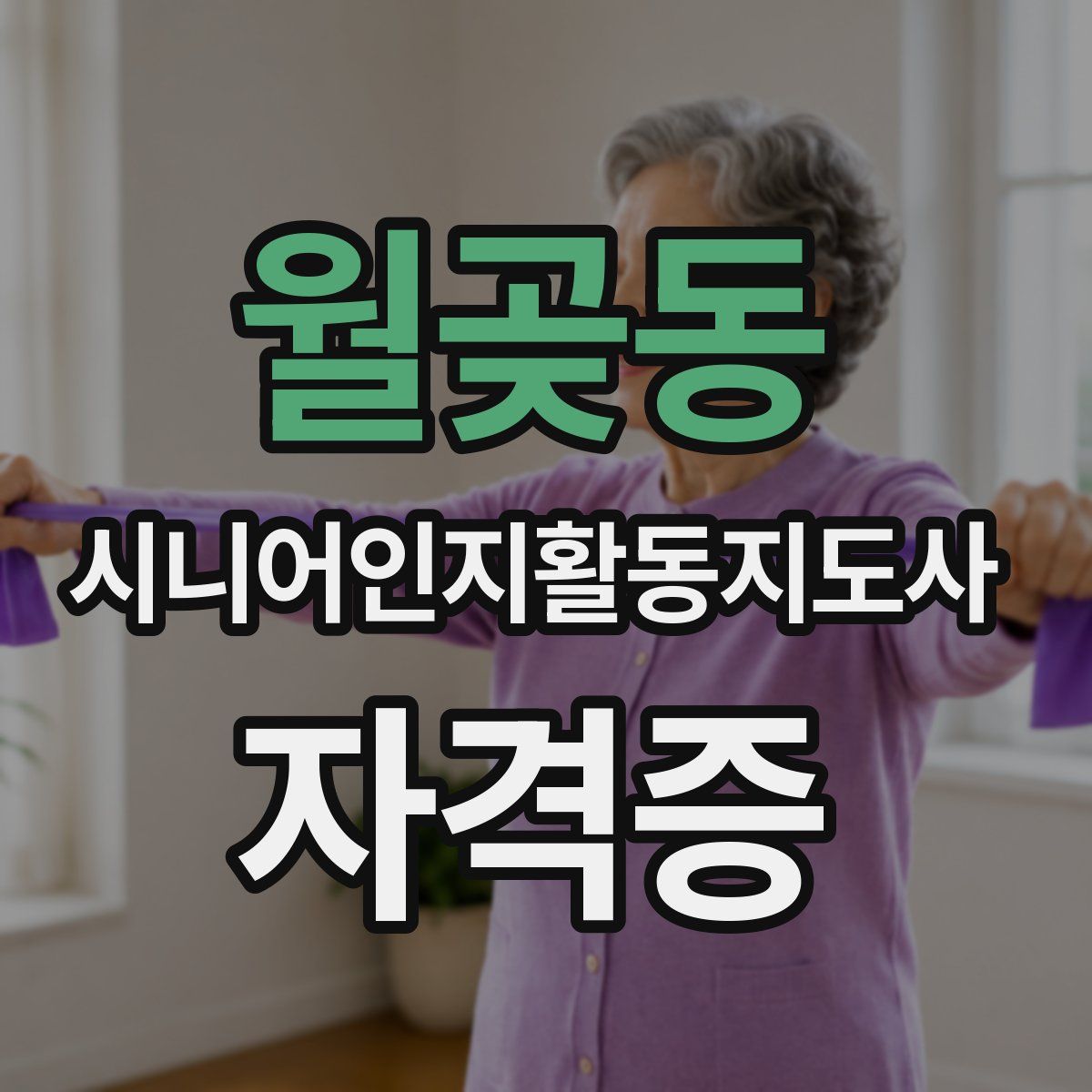 월곶동 시니어인지활동지도사 자격증