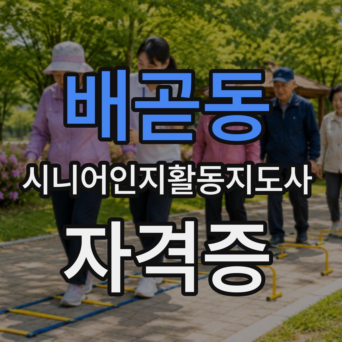 배곧동 시니어인지활동지도사 자격증