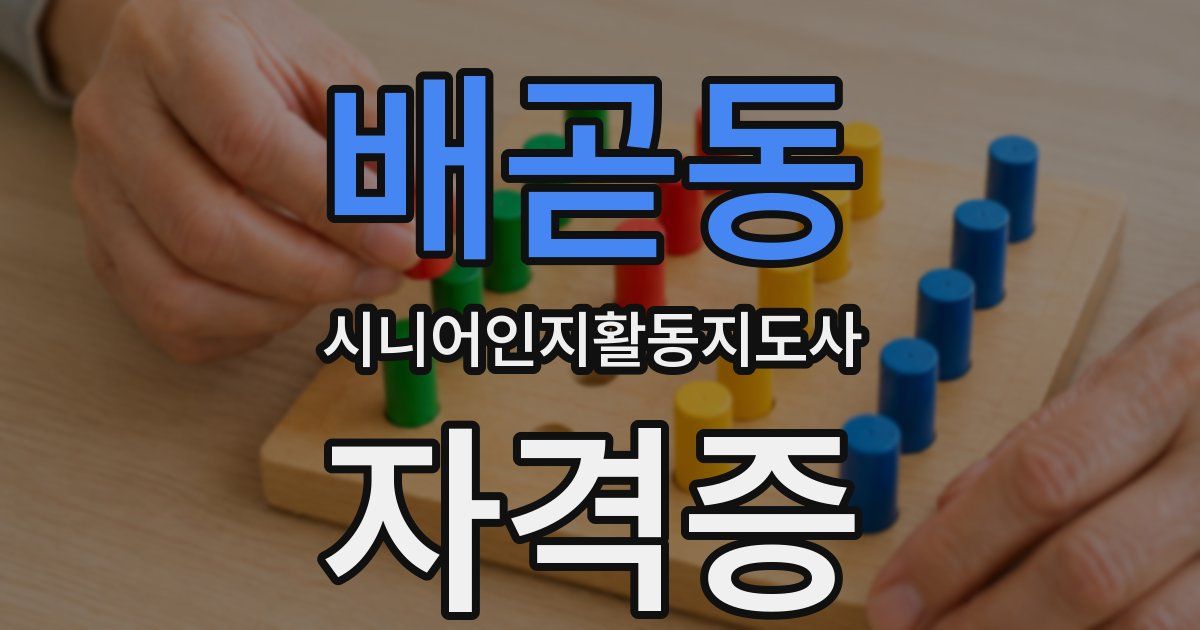 배곧동 시니어인지활동지도사 자격증