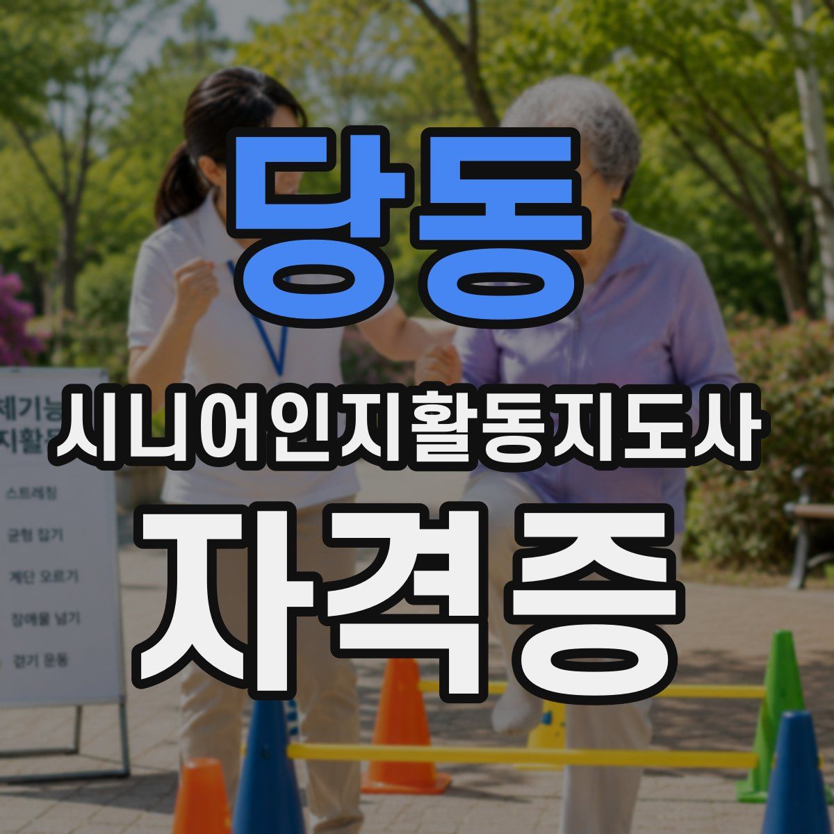 당동 시니어인지활동지도사 자격증