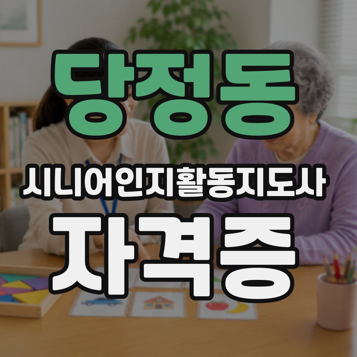 당정동 시니어인지활동지도사 자격증