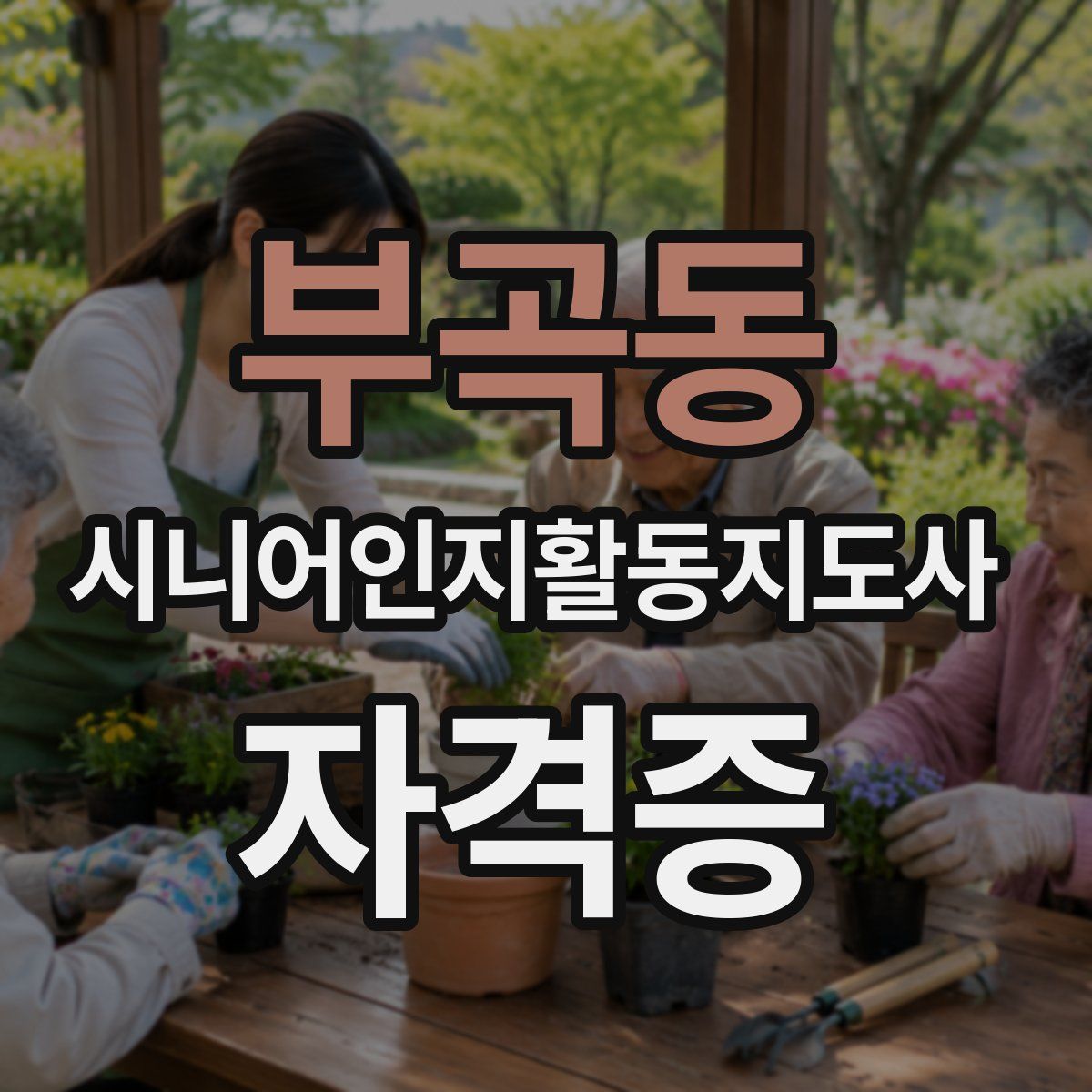 부곡동 시니어인지활동지도사 자격증