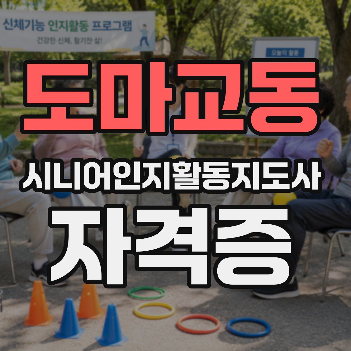 도마교동 시니어인지활동지도사 자격증