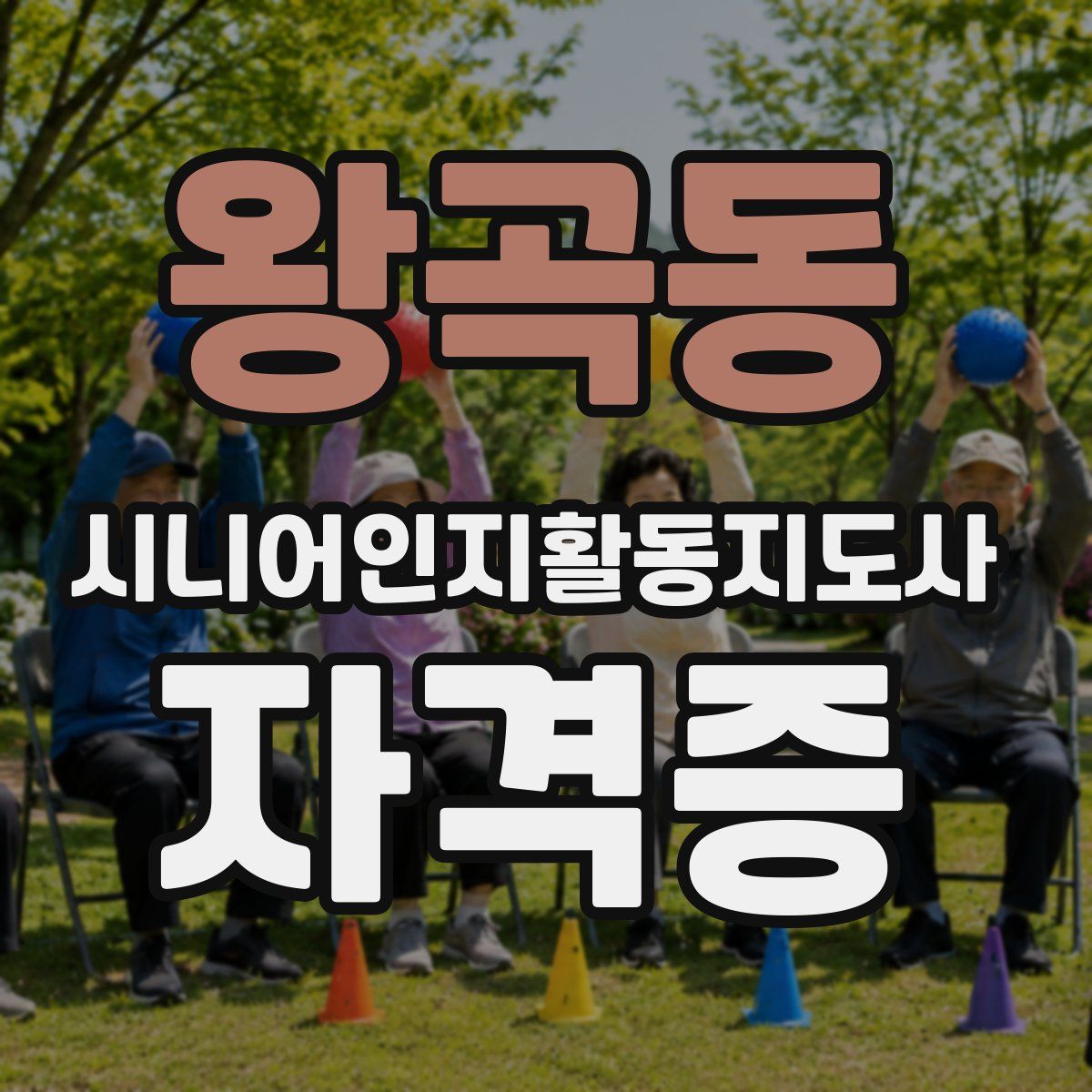 왕곡동 시니어인지활동지도사 자격증