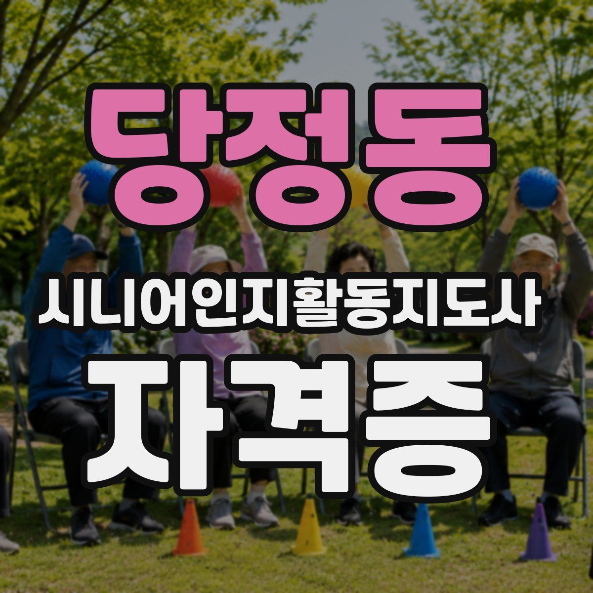 당정동 시니어인지활동지도사 자격증