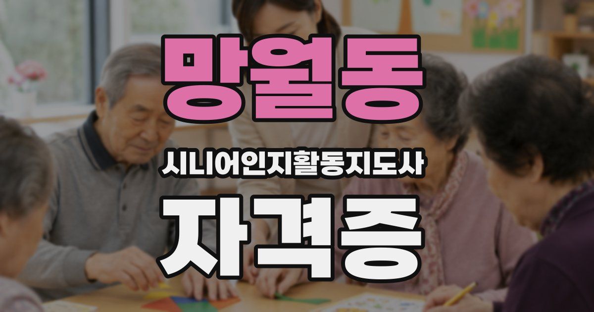 망월동 시니어인지활동지도사 자격증