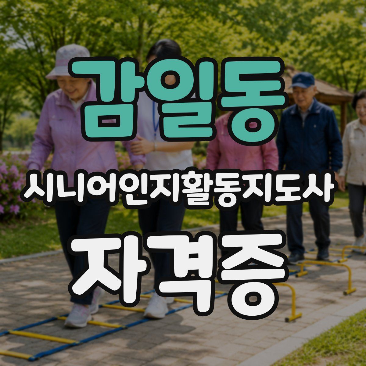 감일동 시니어인지활동지도사 자격증