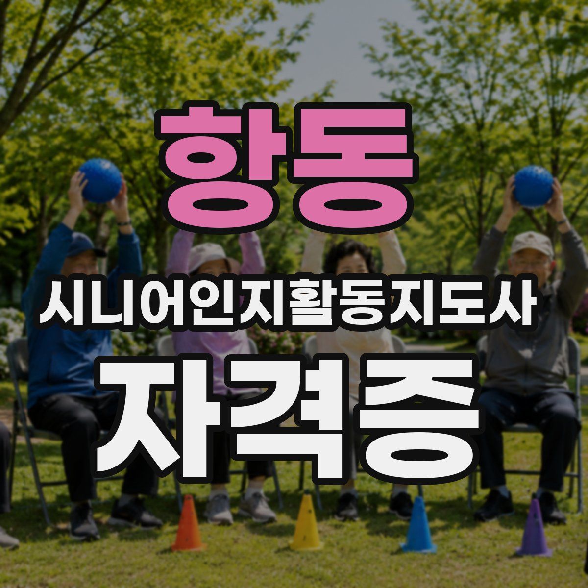 항동 시니어인지활동지도사 자격증