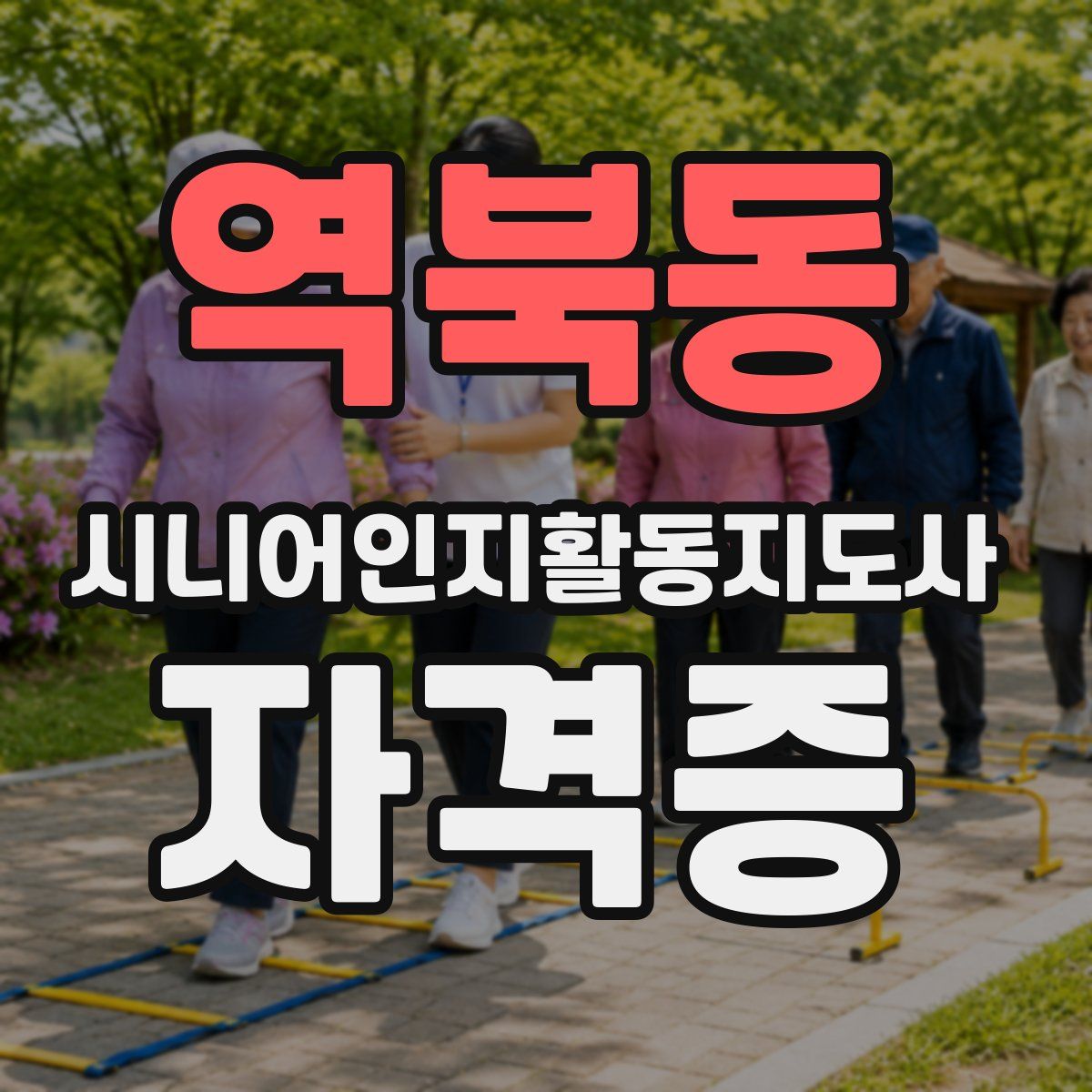 역북동 시니어인지활동지도사 자격증