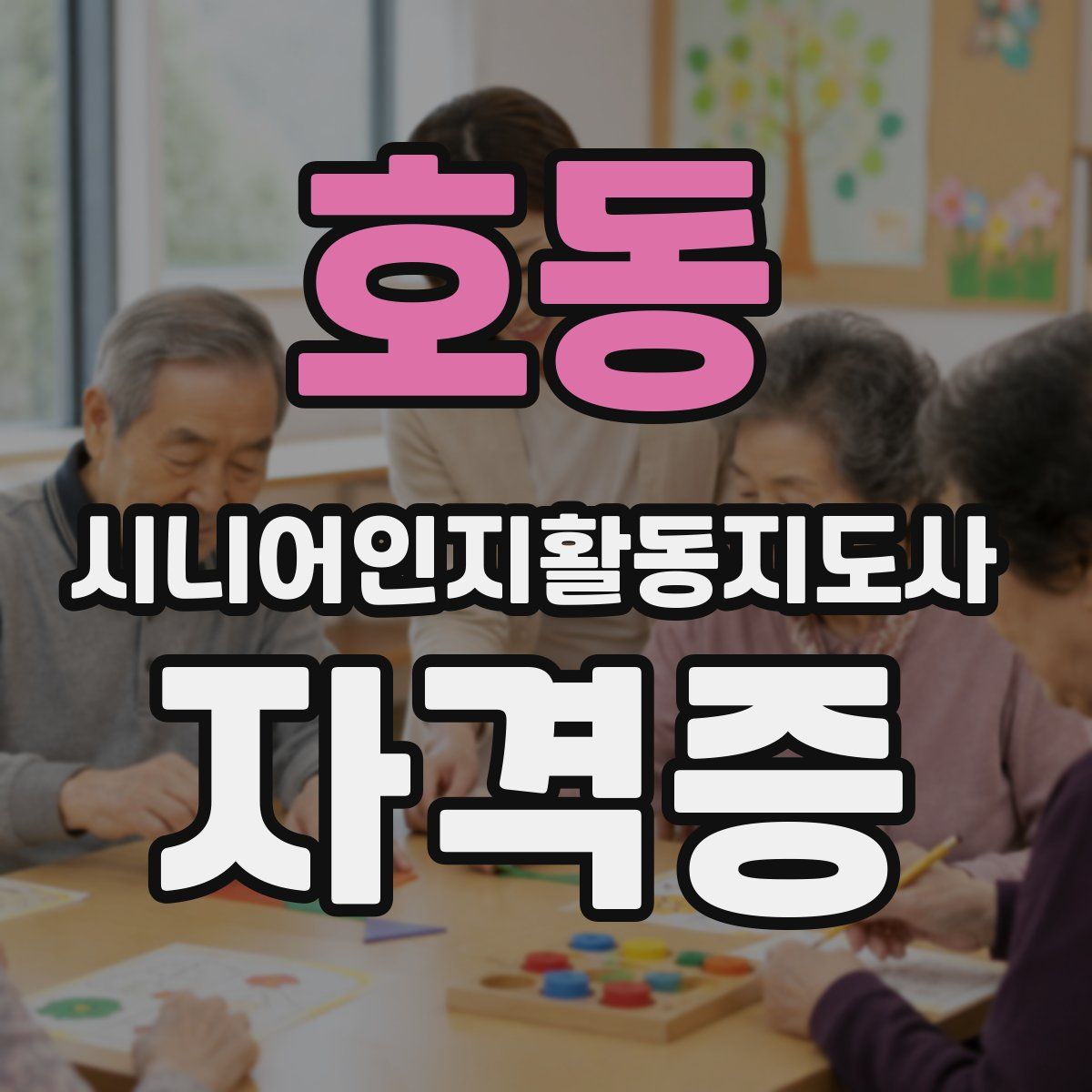 호동 시니어인지활동지도사 자격증