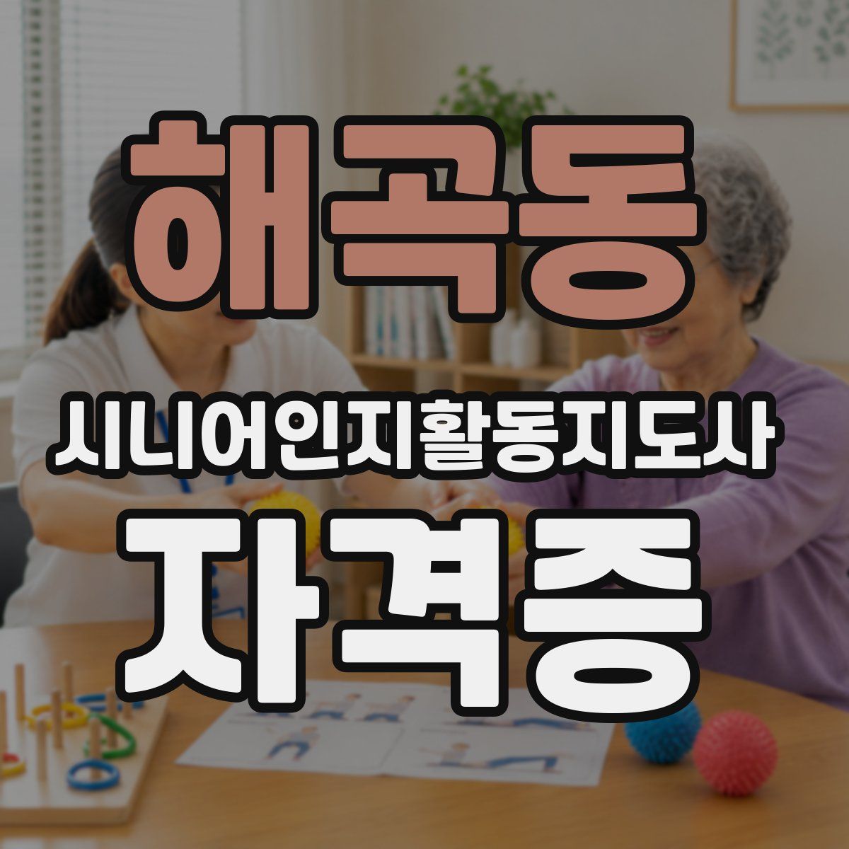 해곡동 시니어인지활동지도사 자격증