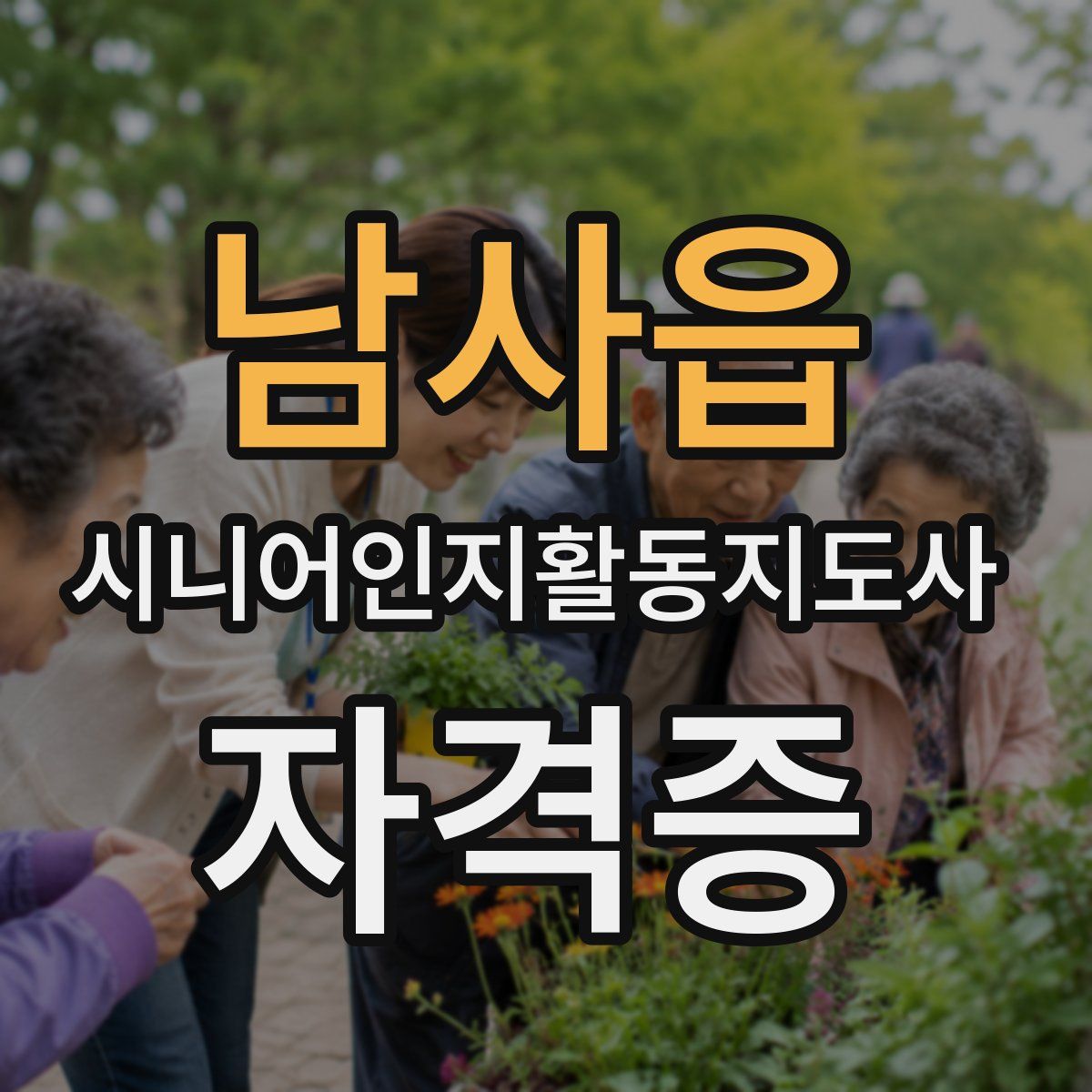남사읍 시니어인지활동지도사 자격증