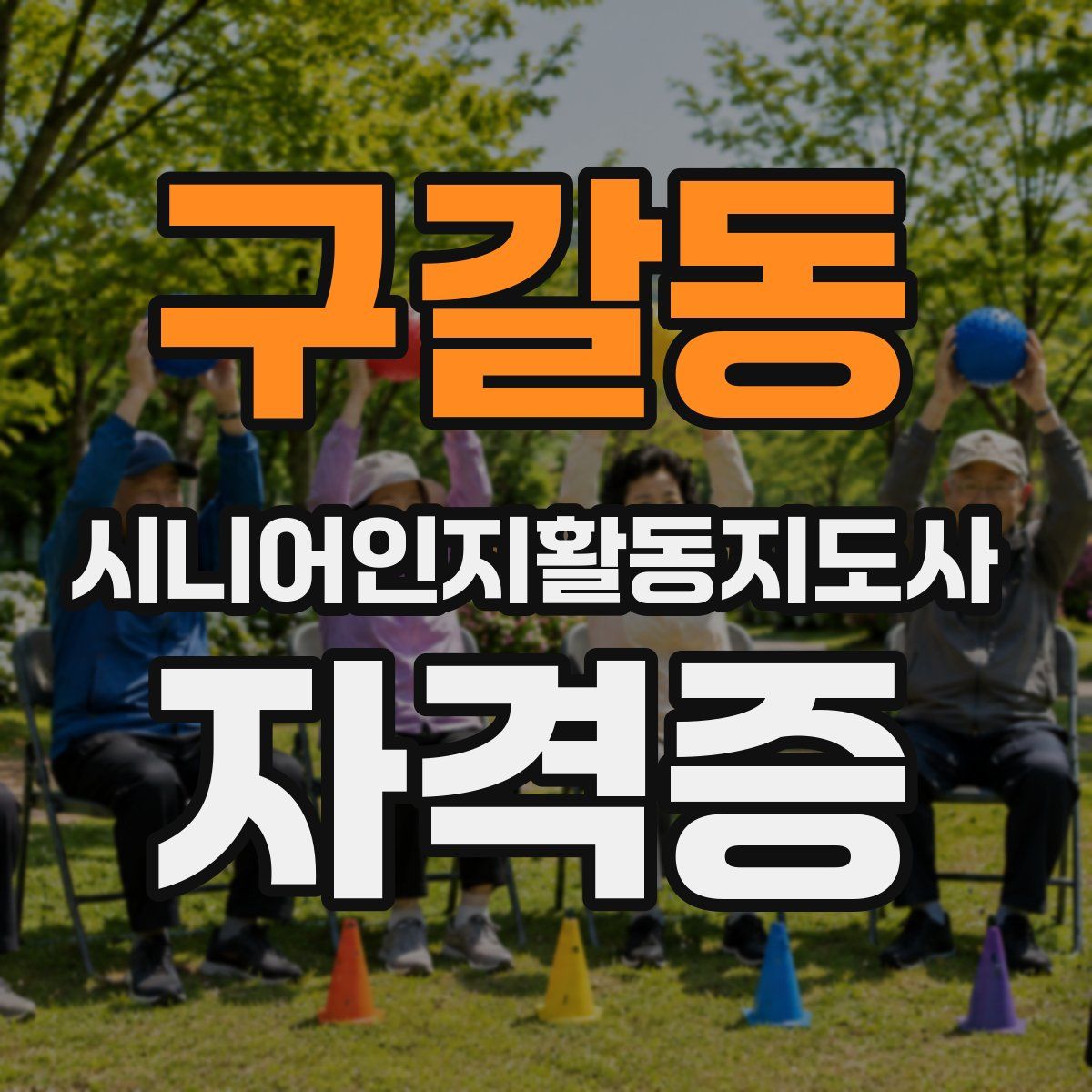 구갈동 시니어인지활동지도사 자격증