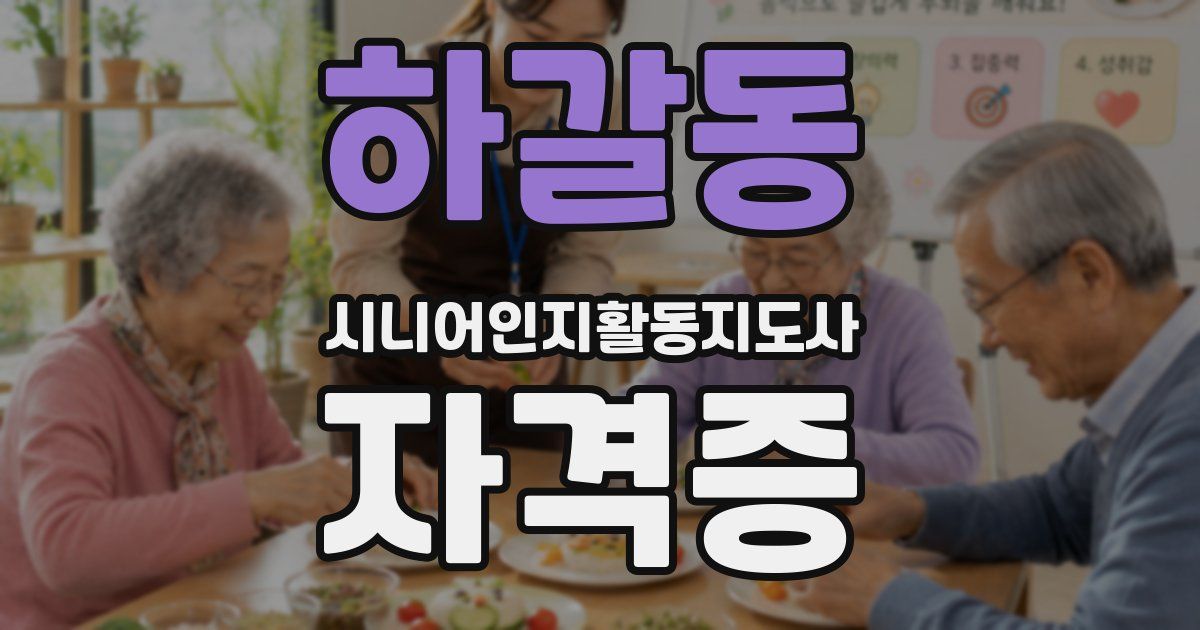 하갈동 시니어인지활동지도사 자격증