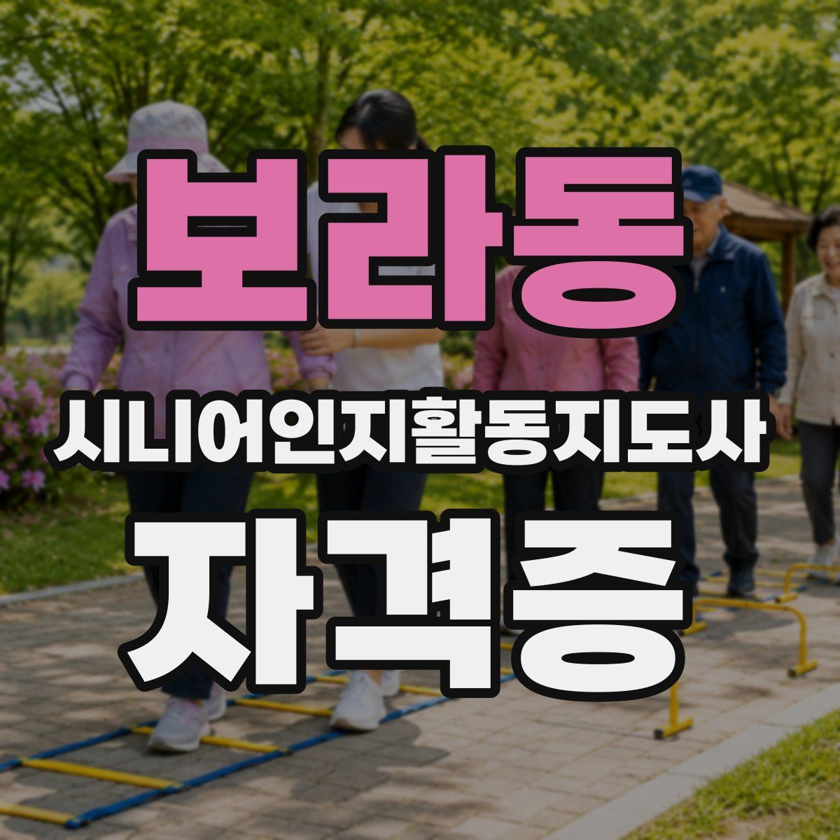 보라동 시니어인지활동지도사 자격증