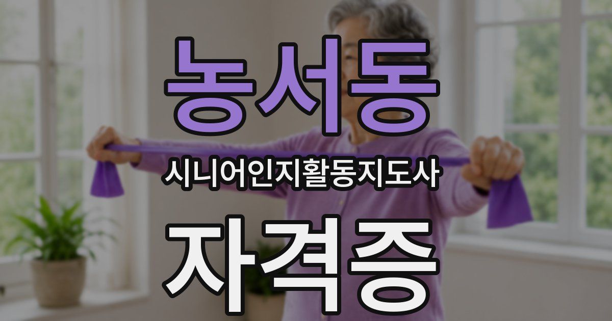 농서동 시니어인지활동지도사 자격증