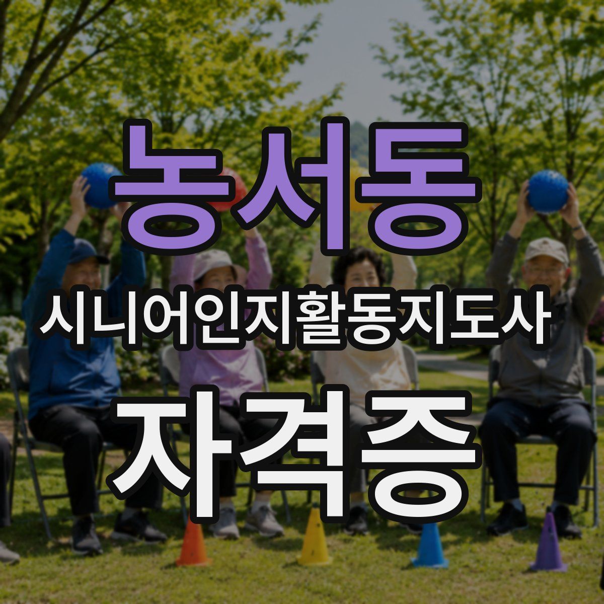 농서동 시니어인지활동지도사 자격증