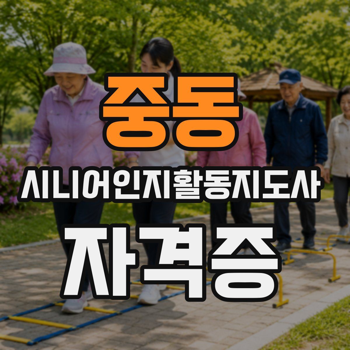 중동 시니어인지활동지도사 자격증
