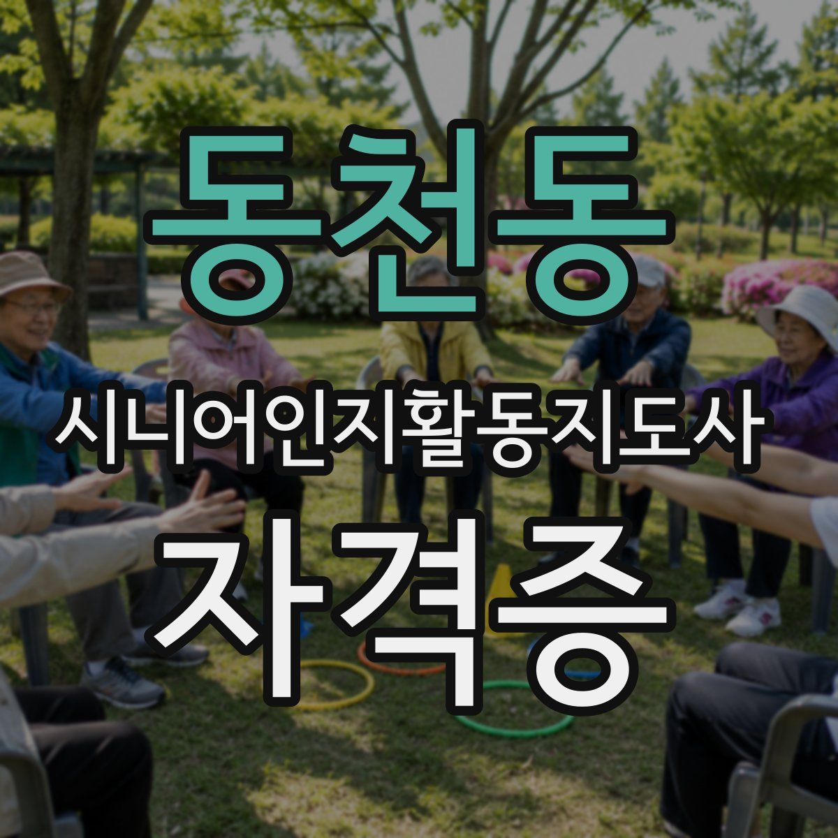 동천동 시니어인지활동지도사 자격증