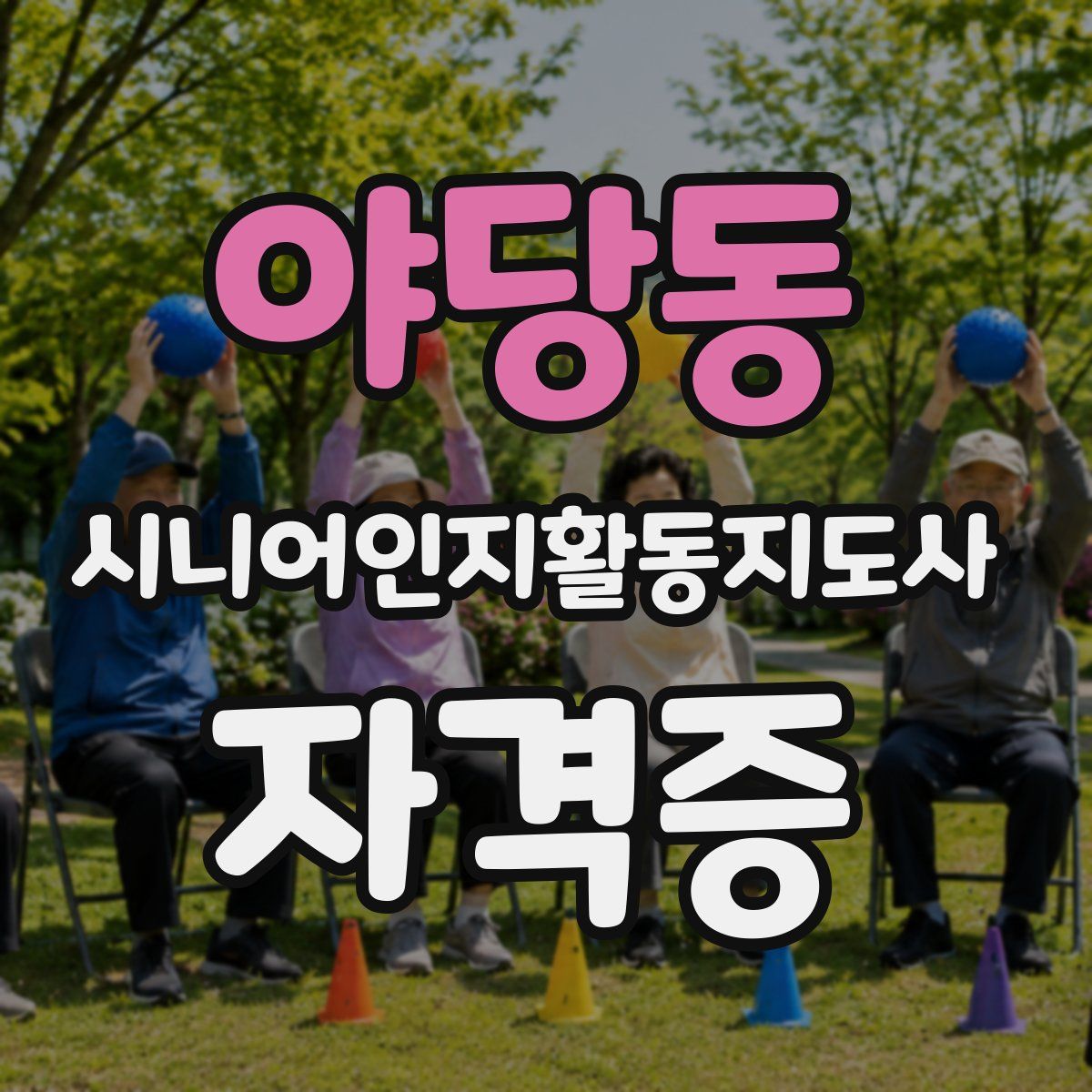 야당동 시니어인지활동지도사 자격증
