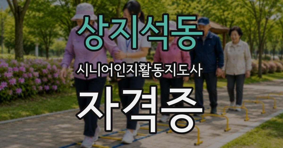 상지석동 시니어인지활동지도사 자격증