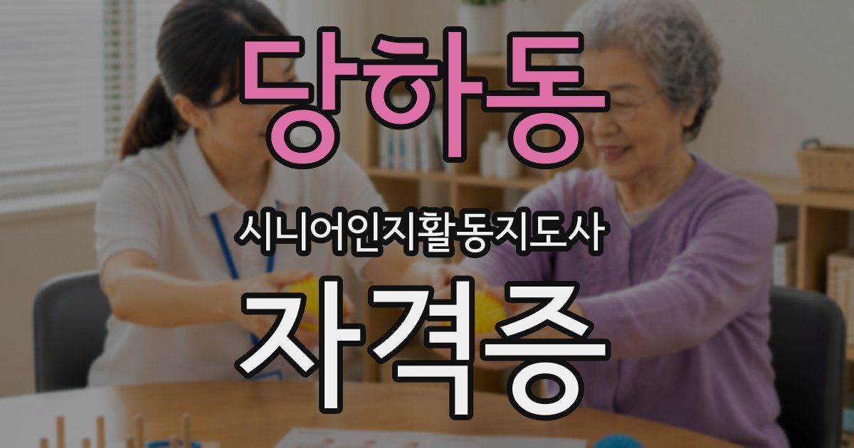 당하동 시니어인지활동지도사 자격증