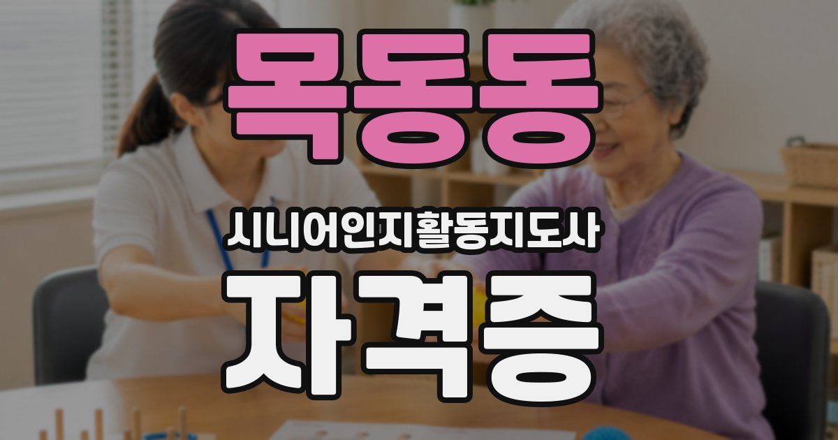 목동동 시니어인지활동지도사 자격증