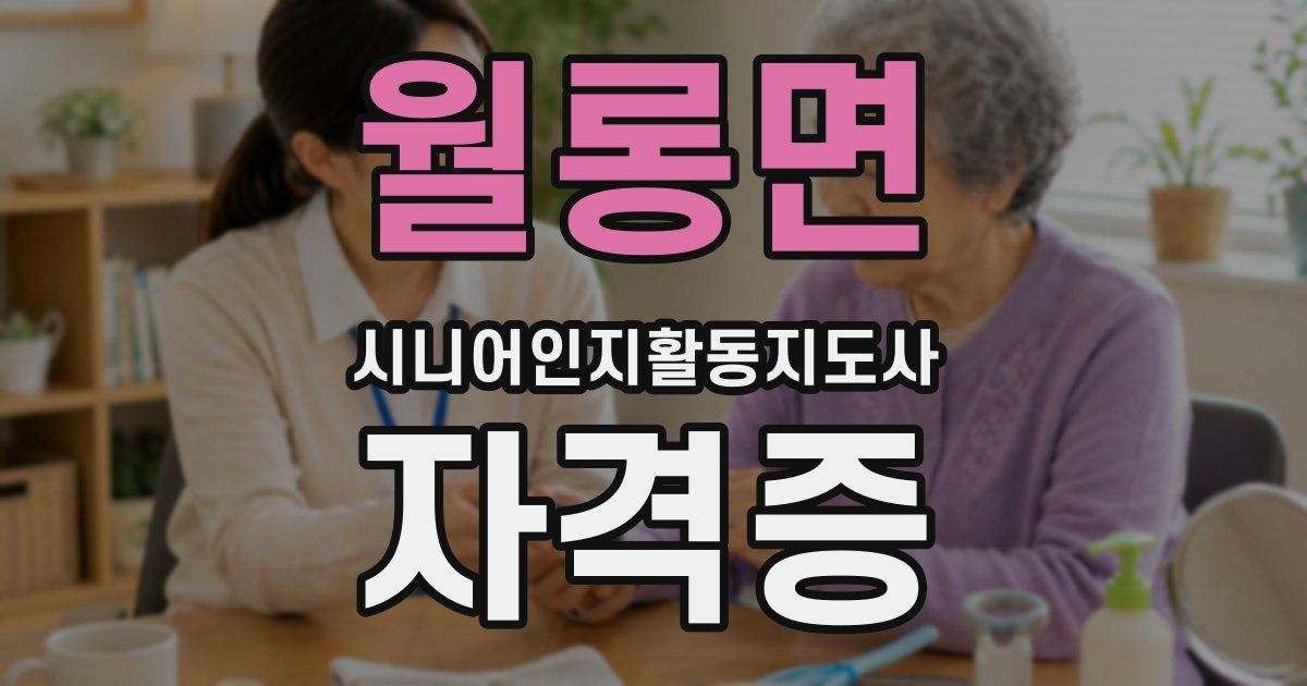 월롱면 시니어인지활동지도사 자격증
