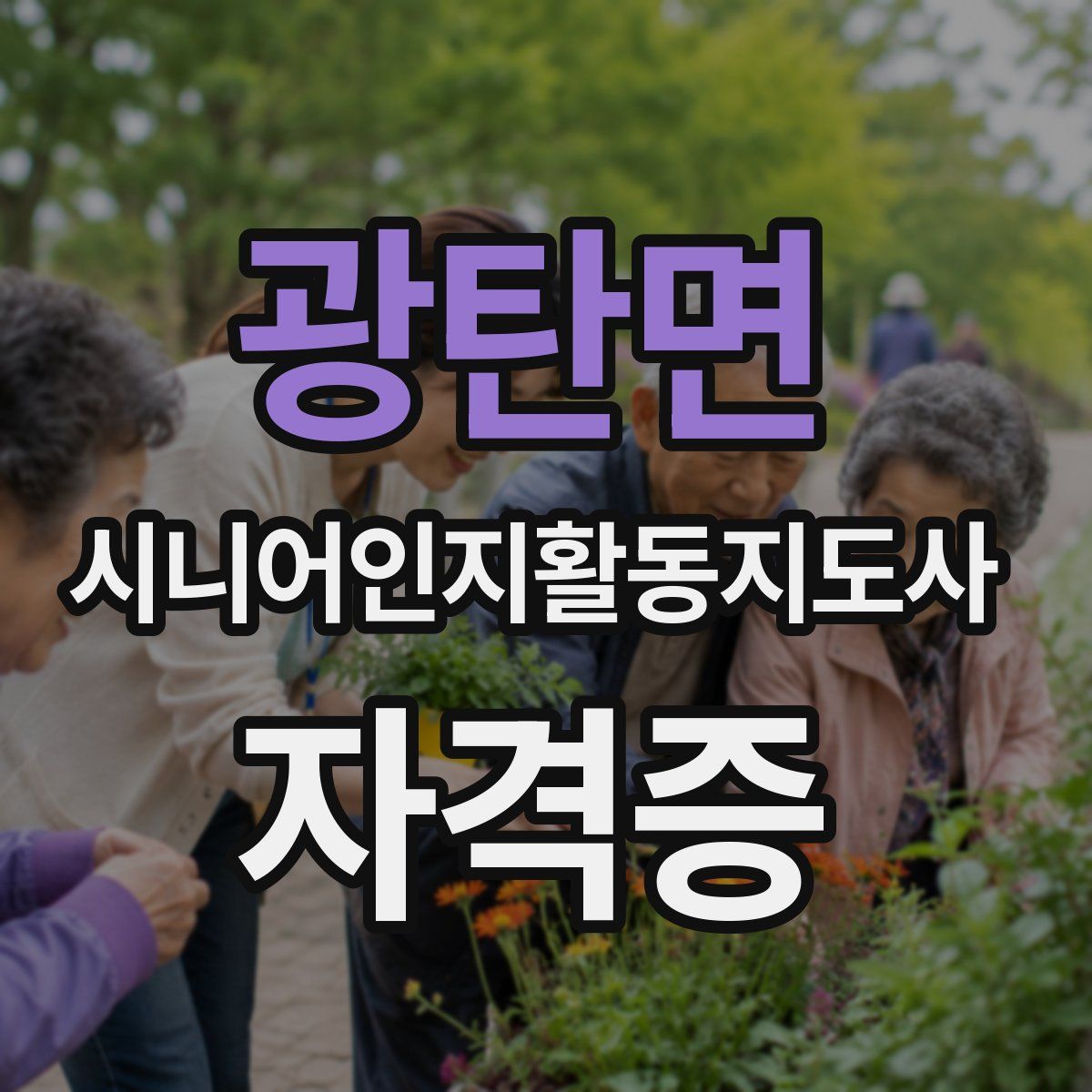 광탄면 시니어인지활동지도사 자격증