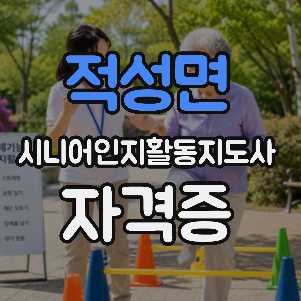 적성면 시니어인지활동지도사 자격증