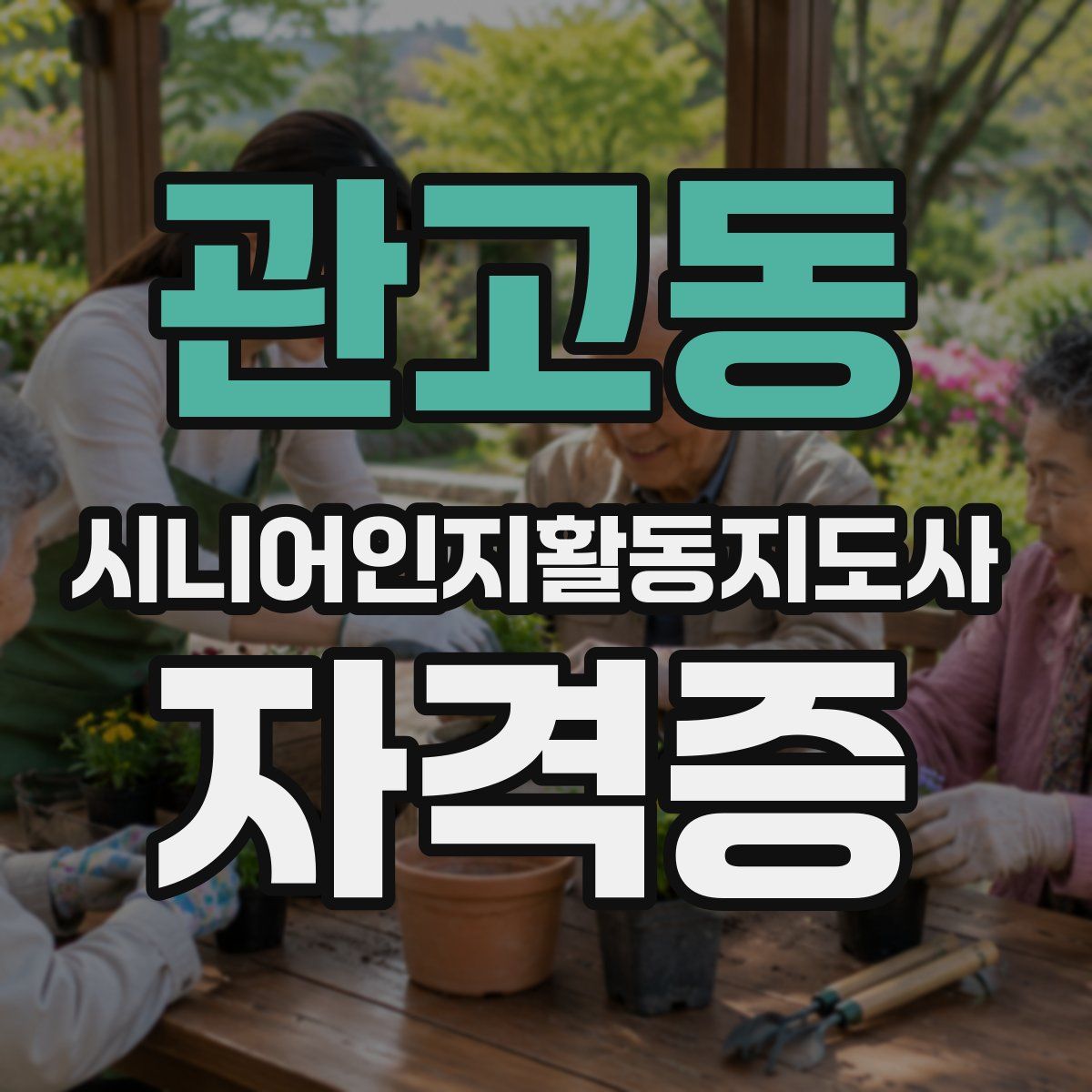 관고동 시니어인지활동지도사 자격증