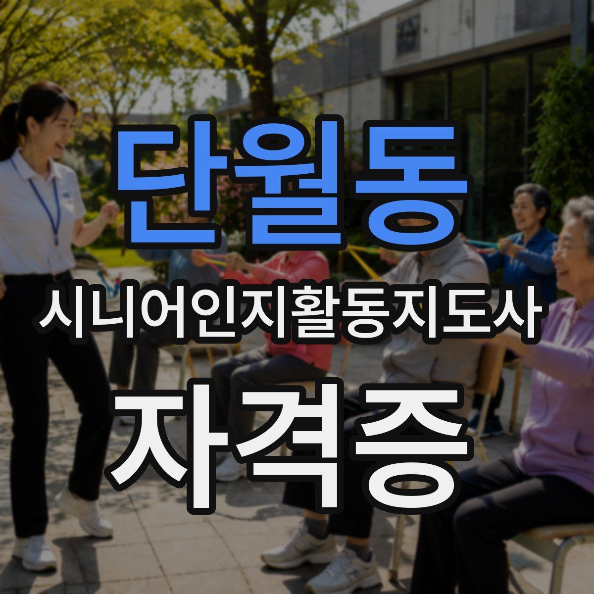 단월동 시니어인지활동지도사 자격증