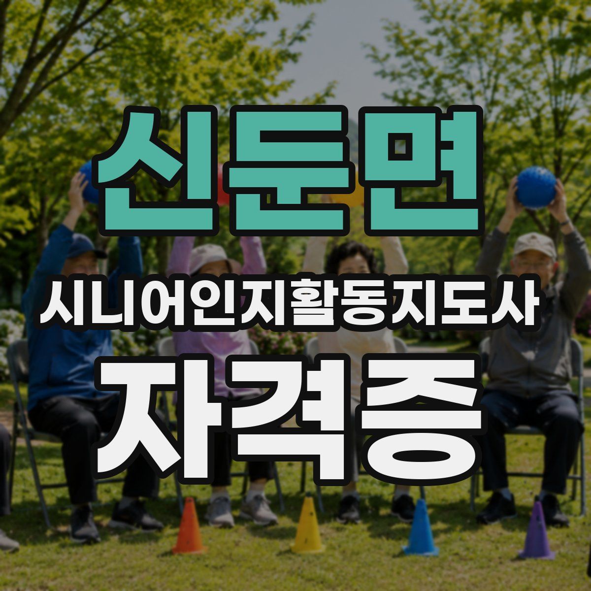 신둔면 시니어인지활동지도사 자격증