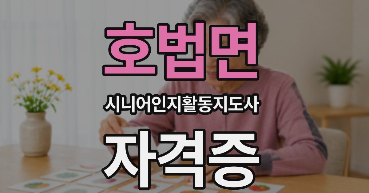호법면 시니어인지활동지도사 자격증