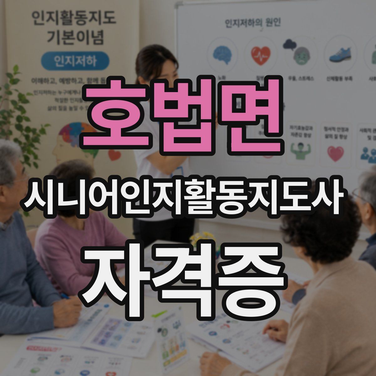 호법면 시니어인지활동지도사 자격증