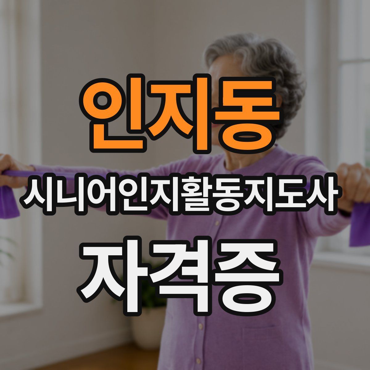인지동 시니어인지활동지도사 자격증