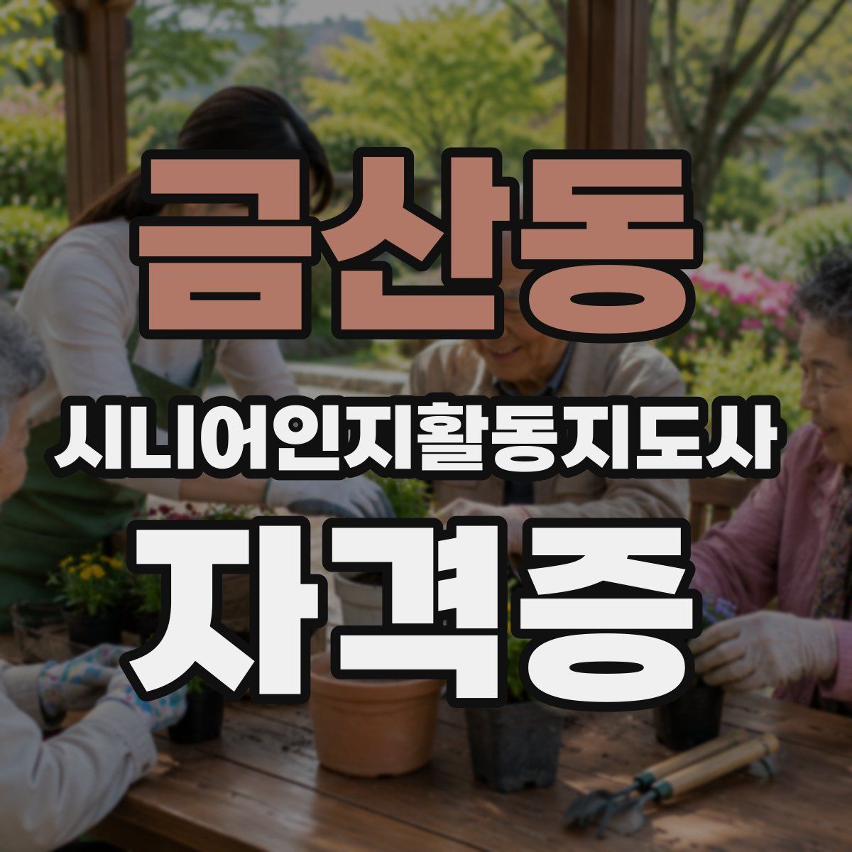 금산동 시니어인지활동지도사 자격증