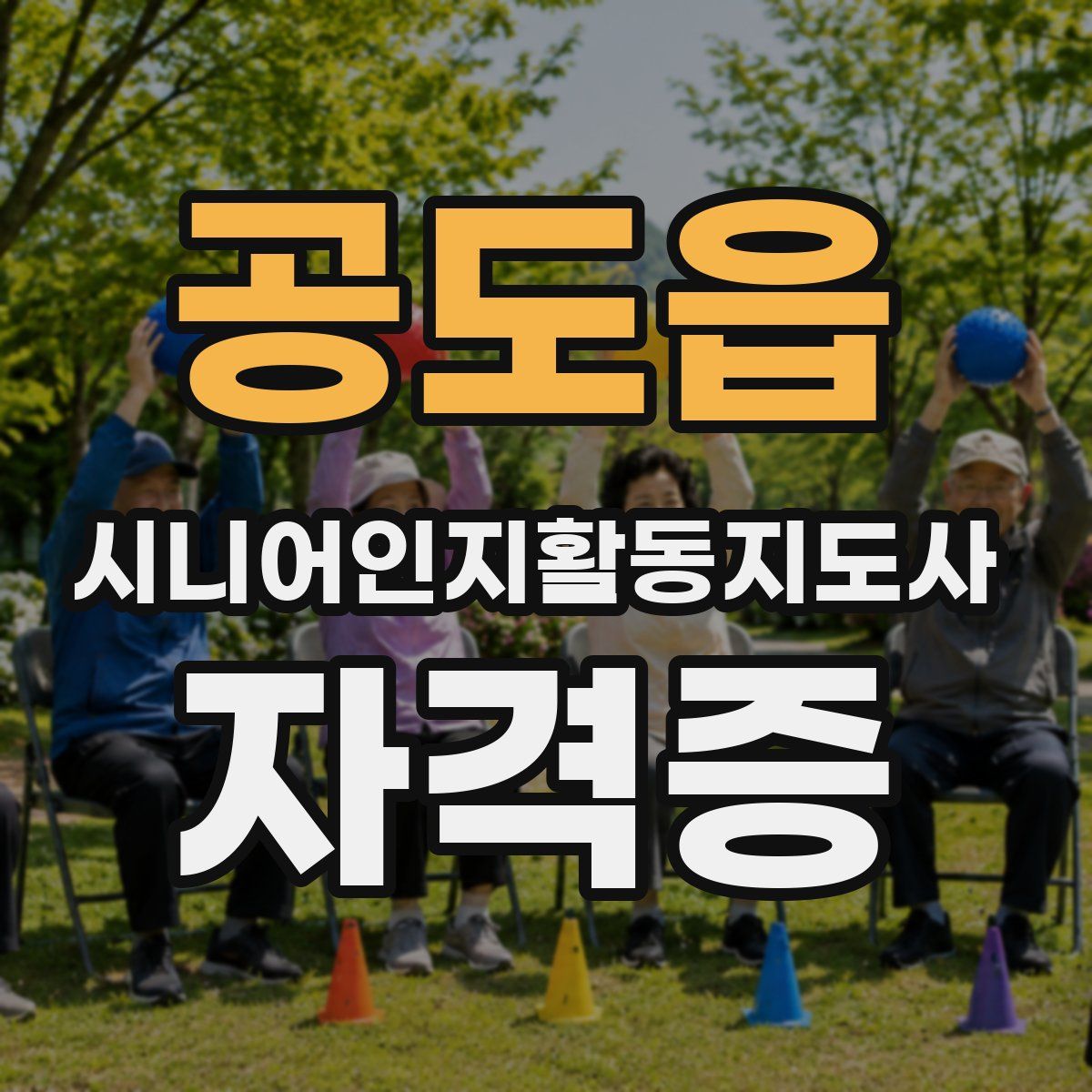 공도읍 시니어인지활동지도사 자격증