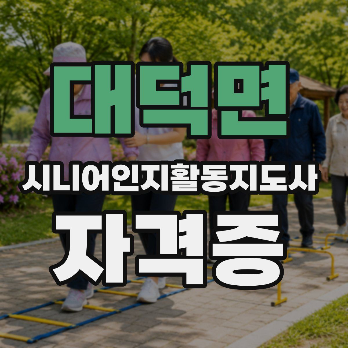대덕면 시니어인지활동지도사 자격증