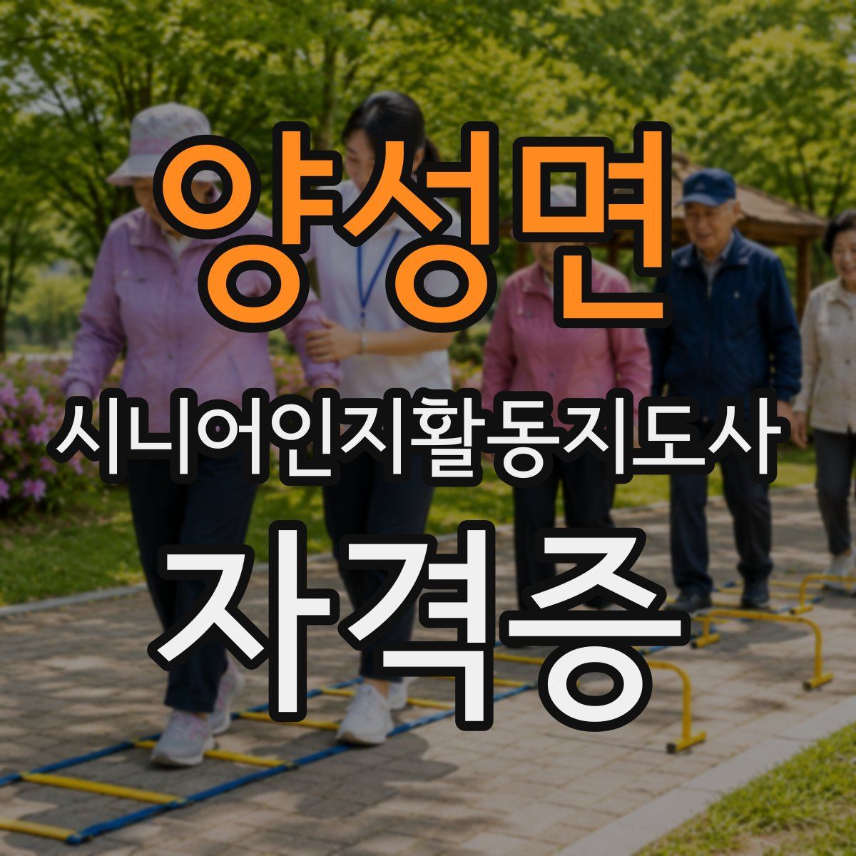 양성면 시니어인지활동지도사 자격증