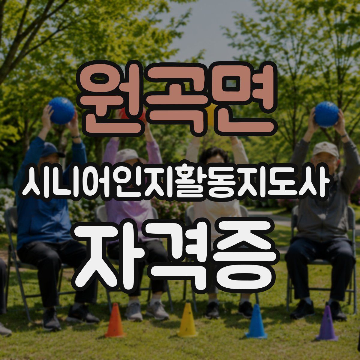 원곡면 시니어인지활동지도사 자격증