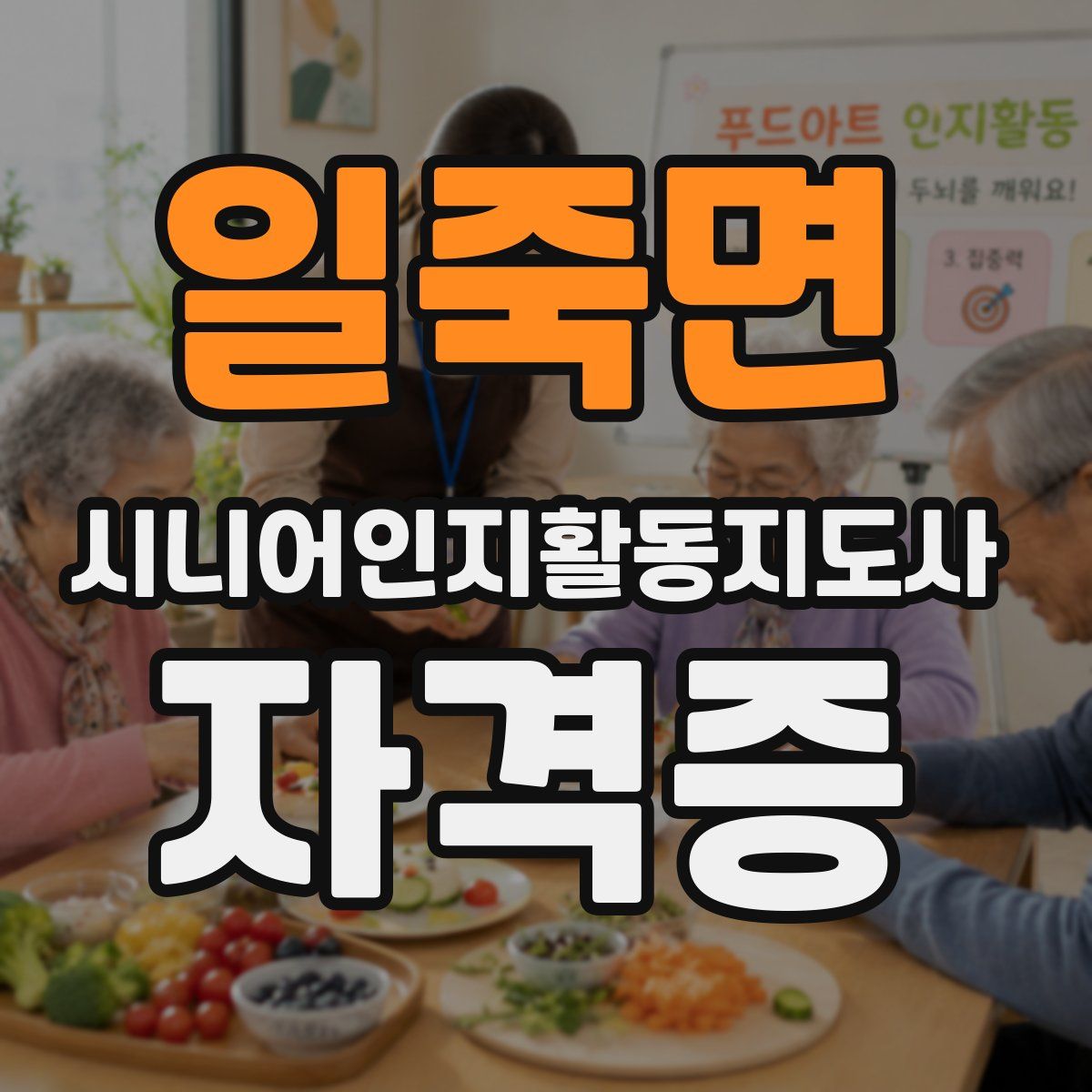 일죽면 시니어인지활동지도사 자격증