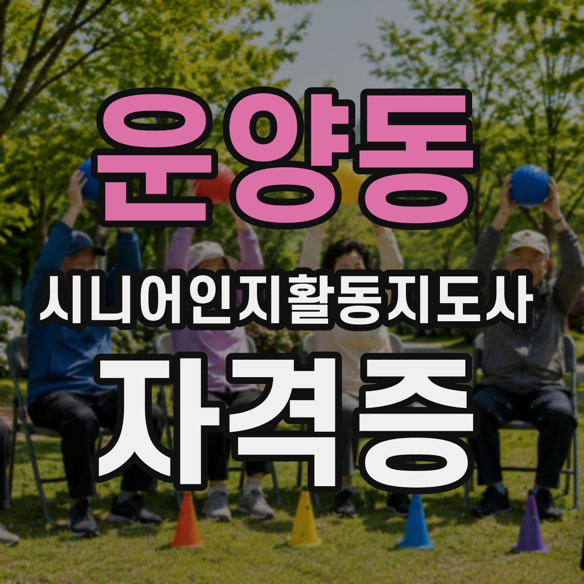 운양동 시니어인지활동지도사 자격증