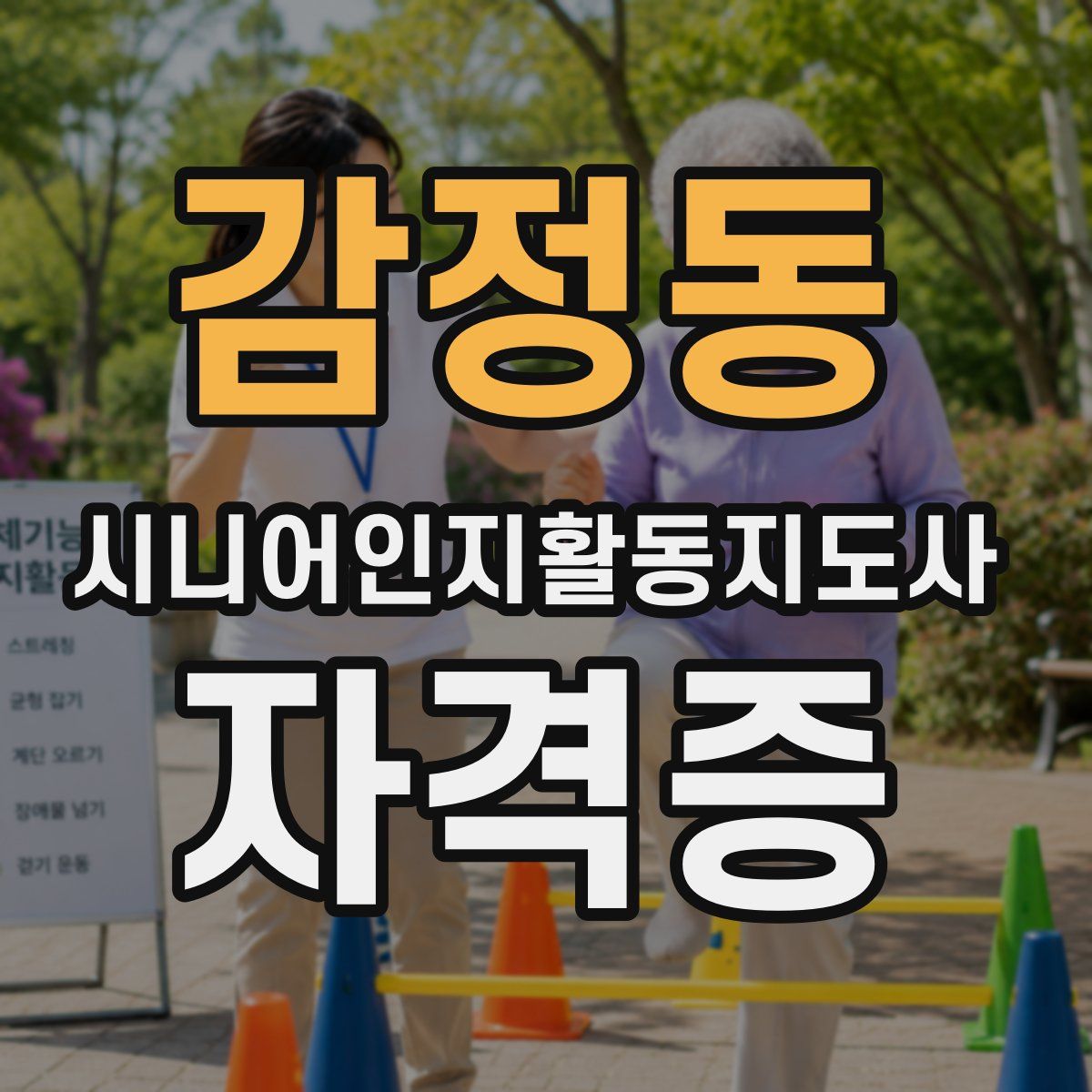 감정동 시니어인지활동지도사 자격증